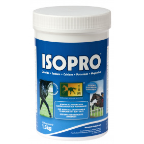 ISOPRO 2000 - 1 in category: feed and supplements for horse riding