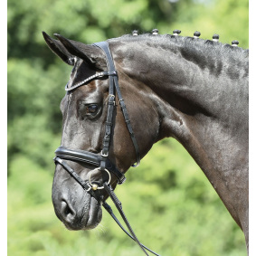 BUSSE BRIDLE MATERA - 1 in category: Bridles for horse riding