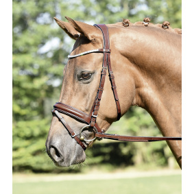 BUSSE BRIDLE MATERA BROWN