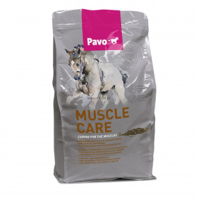 SUPLEMENT MUSCLECARE - 1 in category: feed and supplements for horse riding