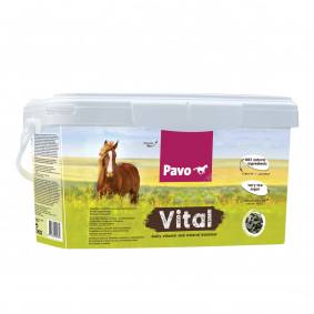 PAVO SUMPLEMENT VITAL - 2 in category: Horse vitamins for horse riding