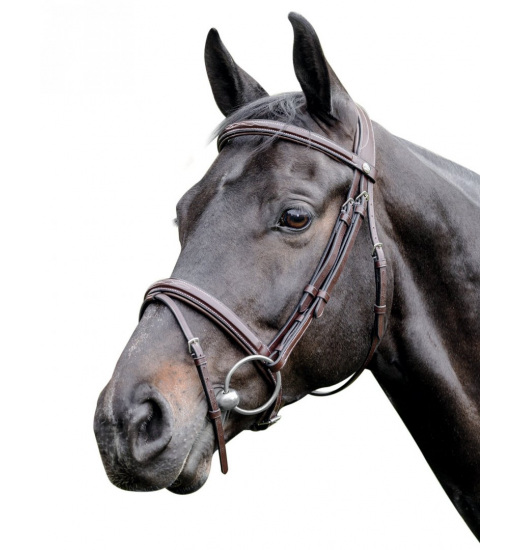 Prestige Italia PRESTIGE ITALIA E83 LEATHER BRIDLE