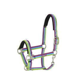 ESKADRON YOUNG STAR HALFTER MIT ANBINDERIEMEN WIELOKOLOROWY