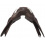 PRESTIGE ITALIA X-PARIS D JUMPING SADDLE - 3 in category: Jumping saddles for horse riding