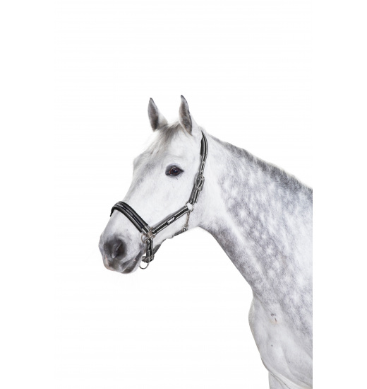 Eskadron ESKADRON HALFTER MIT KLAMMER