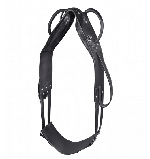 Star STAR VAULTING GIRTH