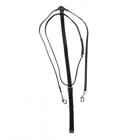 Star STAR SPECIAL THIEDEMANN WYTOK DLA KONIA