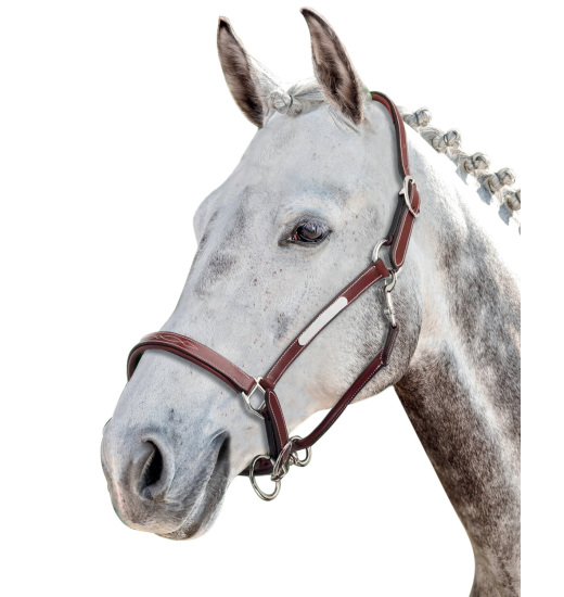 Prestige Italia PRESTIGE ITALIA E53 LEATHER HEADCOLLAR