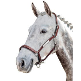 PRESTIGE ITALIA E53 LEATHER HEADCOLLAR - 1 in category: Leather halters for horse riding