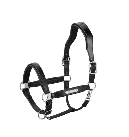 Eskadron ESKADRON LEATHER STALLION HORSE HALTER