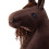 Equishop Hobby Horse KOŃ NA PATYKU HOBBY HORSE EQUISHOP CZEKOLADEK A4