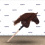 Equishop Hobby Horse KOŃ NA PATYKU HOBBY HORSE EQUISHOP CZEKOLADEK A4