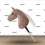 KOŃ NA PATYKU HOBBY HORSE EQUISHOP PTYŚ A3 PLUS OGŁOWIE GRATIS