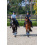 Eskadron ESKADRON PRO DRESSAGE OCHRANIACZE UJEŻDŻENIOWE PRZODY CLASSIC SPORTS