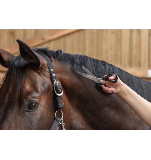 KERBL KERBL UNIVERSAL SCISSORS FOR HORSE MANE 24 CM