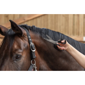 KERBL UNIVERSAL SCISSORS FOR HORSE MANE 24 CM