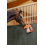 KERBL KERBL HORSE TOY FOX 40 CM