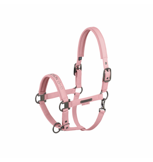 Eskadron ESKADRON FAUX LEATHER DOUBLE PIN HEADCOLLAR PLATINUM