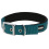 KERBL KERBL COLLAR FOR DOG MIAMI PLUS TURQUOISE 53-61 CM