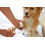 Magic Brush MAGIC BRUSH NAIL SCISSORS FOR DOG AND CAT