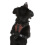 KERBL KERBL DOG HARNESS PULSIVE BROWN WITH REFLECTIVE STRIPS 56-74 CM