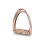 TECH STIRRUPS DRESSAGE RIDING STIRRUPS VENICE DRESSAGE SLOPED