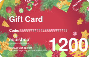  Christmas Gift Card