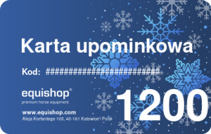  Zimowa karta upominkowa