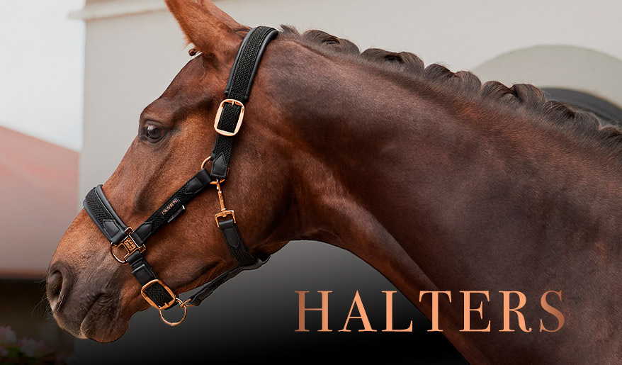 Horse halters